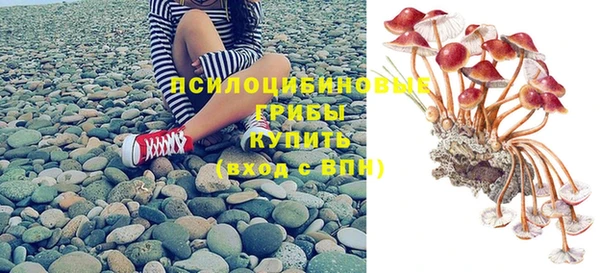 мяу мяу кристалл Богданович