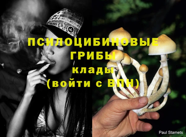 молекула духа Бородино