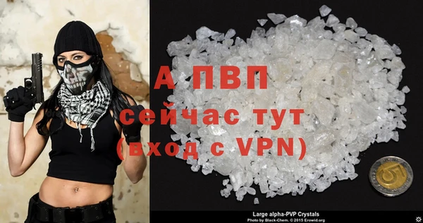 сатива Богородицк