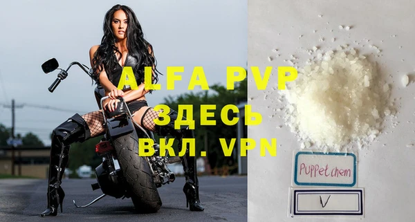молекула духа Бородино